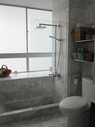 Zenith (D10), Apartment #140066912
